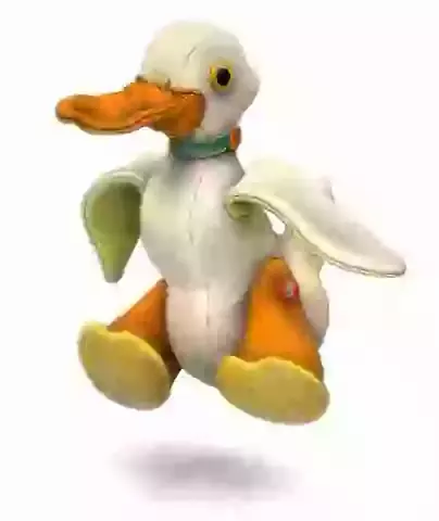 Duck